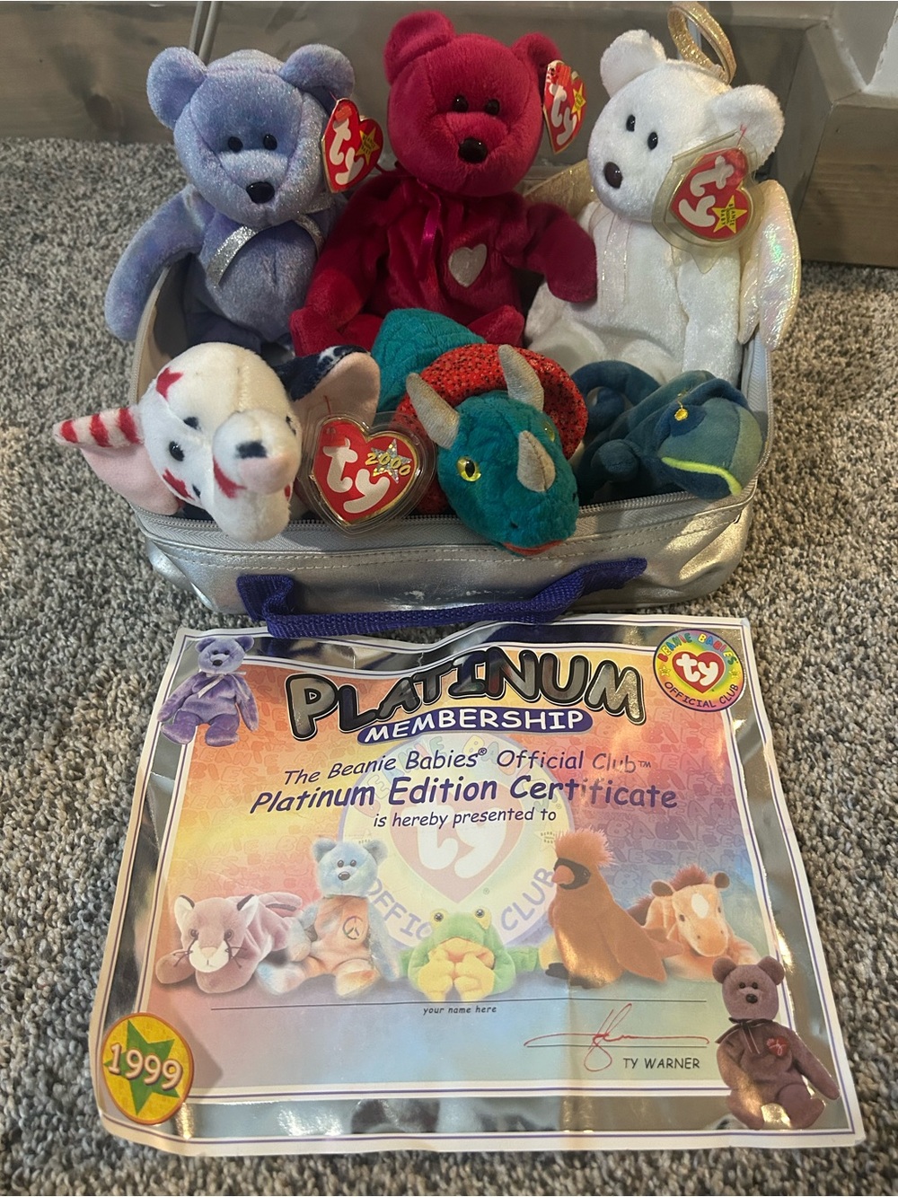 Vintage 1990s-2000 Ty Beanie Babies Plush Set with bag and certificate
